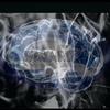 In My Mind (feat. Tr3yo, Tonezmusic & Mike Wavy) (Explicit) - F.B.E&Tr3yo&TonezMusic&Mike Wavy