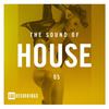 Here Now (Middath's Golly Remix) - Malive