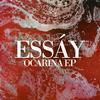 Ocarina - Essay