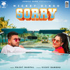Sorry - Mickey Singh&Rajat Nagpal