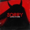Sorry - Luxo&Cris