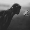 红色彼岸花 (抖音原版) - 虞姬&月灵猫&小可&潮音哥