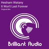 It Won't Last Forever (Original Mix) - Hesham Watany