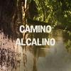 Camino Alcalino (Monococ Remix) - Silvina Romero