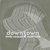 Downtown - BiRdy SanJazz&Waldmann