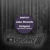 Zeitgeist (Nutty T Acid Mix) - Jake Nicholls