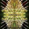 Alluvial(Intro) - Mettakin
