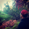 My Place - Safu