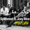 Afterlife - Splitbreed&Joey Moe