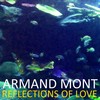 Mixed Feelings - Armand Mont
