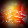 Analog Summer (Instrumental Version 1) - Robert Carollo