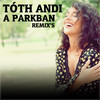 A parkban (Matthew Beren & Delighters Remix) - Tóth Andi&Matthew Beren&Delighters
