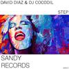 Step (Original Mix) - David Diaz&DJ Cocodil