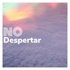 No Despertar - Fernan Dust