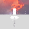 白日美梦 (伴奏) - 王野