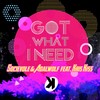 Got What I Need (Extended Mix) - Socievole&Adalwolf&Kris Kiss