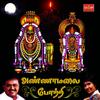 Unnamulai Naatha - S. P. Balasubramaniam