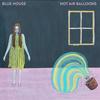 Hot Air Balloons - Blue House