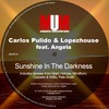 Sunshine in the Darkness (Mark Holmes Vocal Remix) - Carlos Pulido&Lopezhouse&Angela