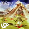 Ancient Codes Of Meditation (Radio Mix) - Prinsjan