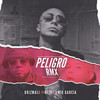 Peligro (RMX|Explicit) - Drizmali&Nejo&Nio Garcia