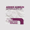 My Last Poem - Adrien Aubrun
