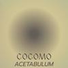 Cocomo Acetabulum - Erine Khub