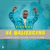 Ha Mmalibuseng (feat. Nthabi Sings, Mitter & Ntate Stunna) - DJ Rochesta&Nthabi Sings&Mitter&Ntate Stunna