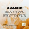 Awake (Juani Bria Remix) - Mónaca Brothers&Juani Bria