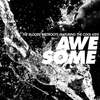 Awesome(feat. The Cool Kids) - The Bloody Beetroots&the cool kids