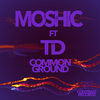 Common Ground (Pt. 2) - Moshic&TD