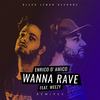 Wanna Rave (Jon Thomas Radio Edit) - Enrico D'Amico&Weezy