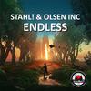 Endless - stahl!&Olsen Inc