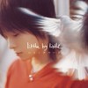 ハミングバード (蜂鸟) - Little by Little