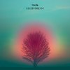 Lucid Dream - DenisSky