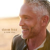 Summertime In NYC Radio Edit - Dave Koz&Brian McKnight