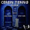 Slow (Kuros Chimenes Remix) - Ceren Tekno