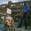Twiss (Explicit) - Louis Culture