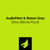 Strive (Pariz Remix) - AudioPrism&Mason Grey&Pariz