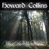 Are You the One? - Howard Collins&Mark Collins