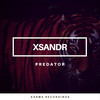 Predator (Original Mix) - Xsandr