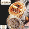 Can You Feel Me (Explicit) - Nyce RSA&T.S Da MC&TEENXXX