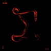Chimera - Ilija Djokovic