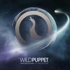 From Dust to Stars (Original Mix) - Matt Fletcher&Wildpuppet