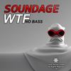 WTF No Bass (Original Mix) - Soundage