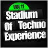 African Pulse (Original Mix) - G Furlan