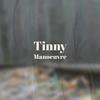 Tinny Manoeuvre - Anastasie Mulom