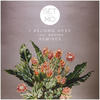 I Belong Here (Set Mo Vip Mix) - Set Mo&Woodes&Nicholas Drabble&Stuart Turner&Elle Graham&Paul Brandoli&Francesco Barbaglia