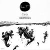 Seahorses - Ceas