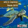 Fields 2010 (Groove Cocktail Remix) - Caprese&ERB&Groove Cocktail